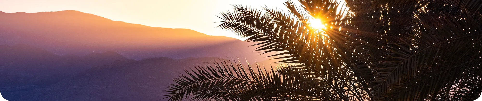 Banner 1