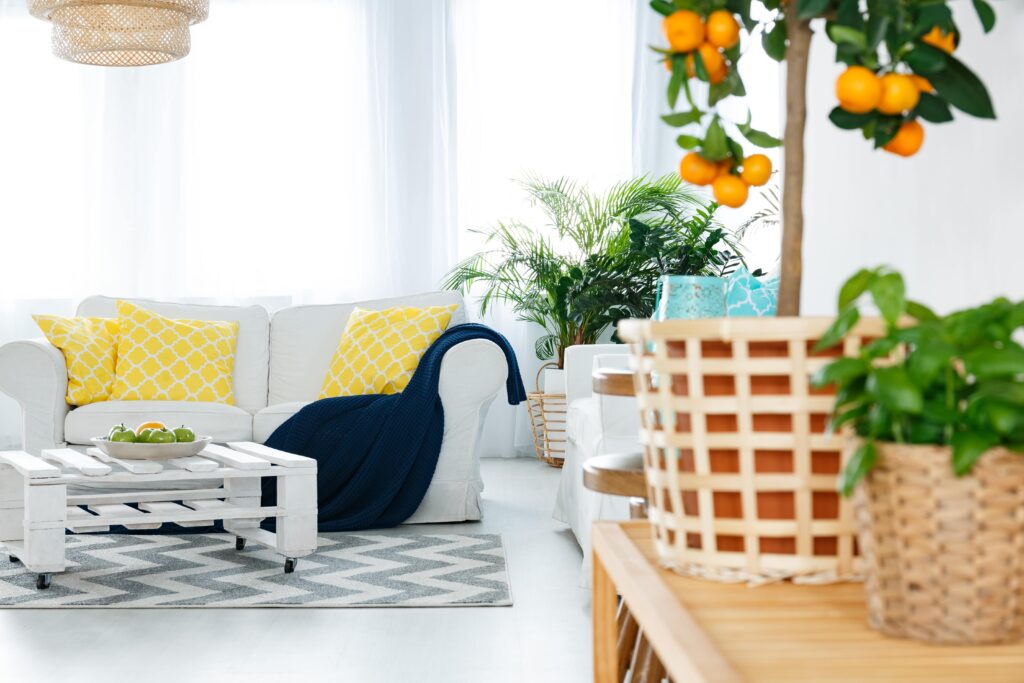 Bright, Plant-Filled Living Room Design